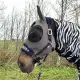 AB insectenmasker Sunny